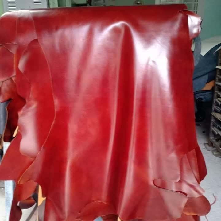 Finished Leather
